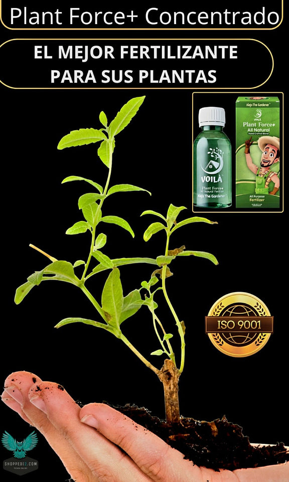 PLANT FORCE +CONCENTRADO TOTALMENTE NATURAL